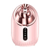 Nano Mist Facial Steamer