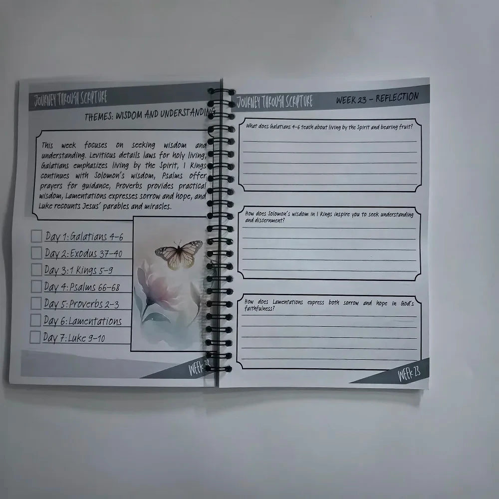Bible Reading Plan Handbook For Busy Women